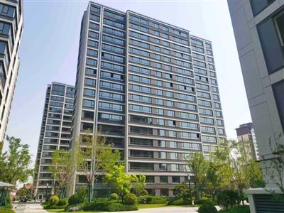 霍爾果斯市莫乎爾片區賽克山屋依社區鄉村振興道路建設項目