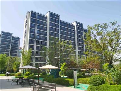 德州市陵城區義渡口鎮美麗鄉村示范村工程